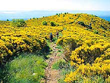 Ardeche Streckenwanderung